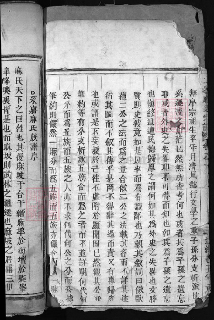 浙江省温州市永嘉县麻氏族谱-麻氏宗谱 [5卷].pdf电子版插图3