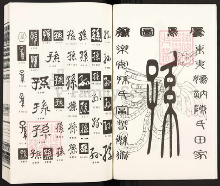 山东省潍坊市青州市孙氏心一堂族谱-中华乐安孙氏总谱.pdf电子版插图2