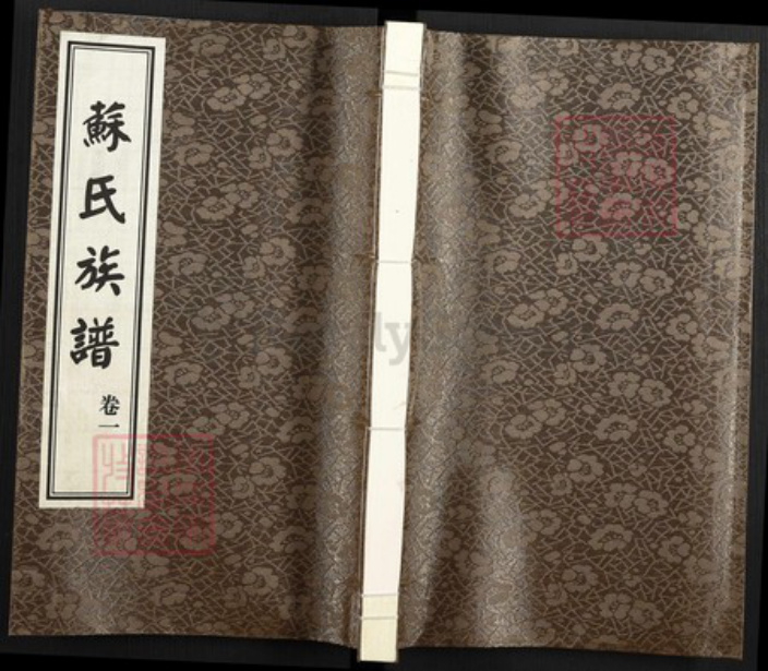 山东省德州市武城县苏氏族谱-苏氏族谱.pdf电子版