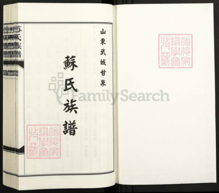 山东省德州市武城县苏氏族谱-苏氏族谱.pdf电子版插图1