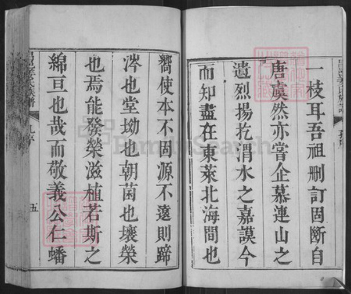 山东省潍坊市昌邑市姜氏族谱-昌邑姜氏族谱.pdf电子版插图5