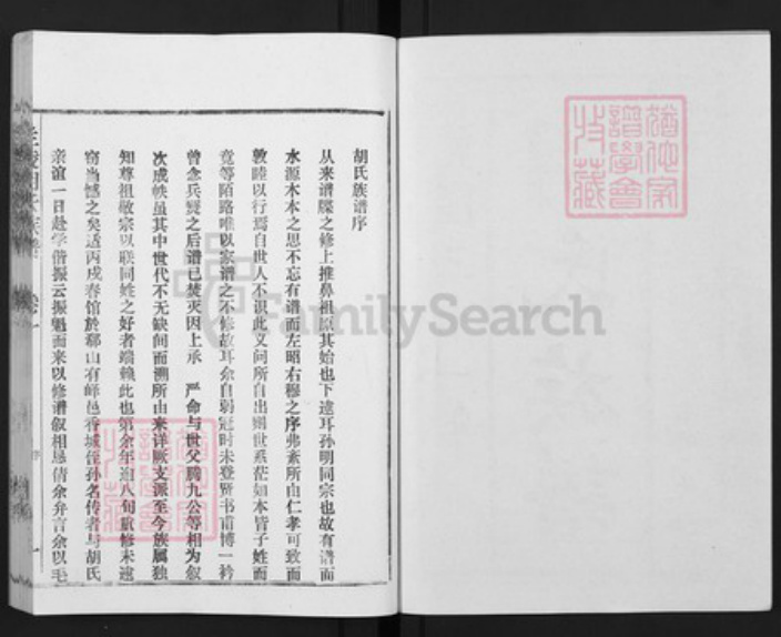 山东省枣庄市薛城区山东省枣庄市胡氏安定堂族谱-兰陵胡氏族谱.pdf电子版插图2