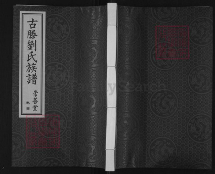 山东省枣庄市山东省枣庄市滕州市大坞镇刘；刘氏崇善堂族谱-古滕刘氏族谱.pdf电子版插图