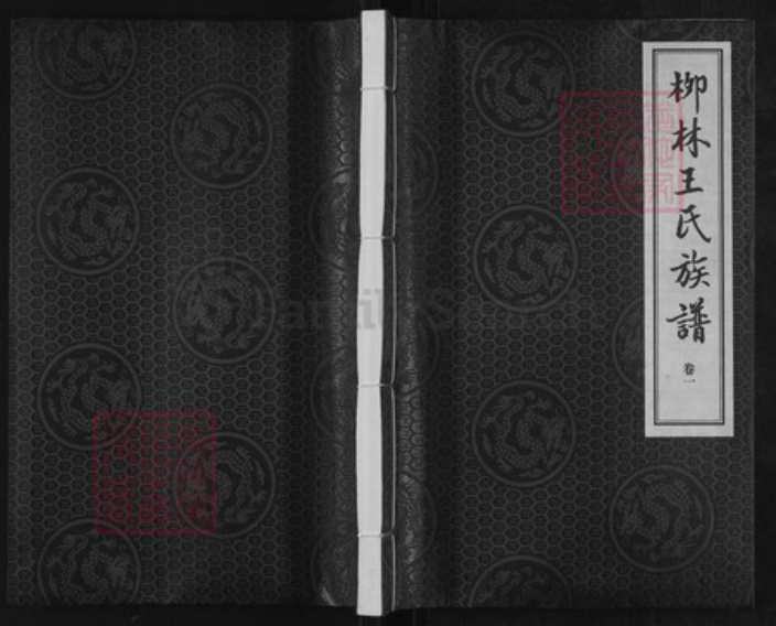 山东省潍坊市诸城市皇华镇王氏益友堂族谱-柳林王氏族谱.pdf电子版