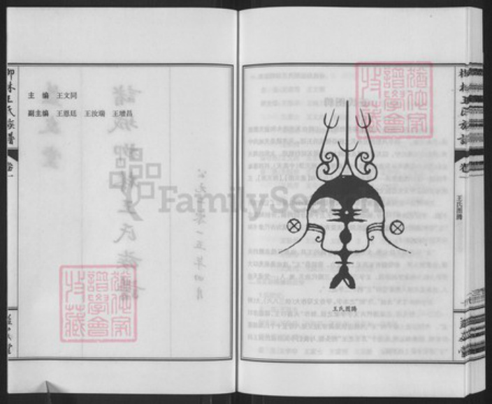 山东省潍坊市诸城市皇华镇王氏益友堂族谱-柳林王氏族谱.pdf电子版插图2