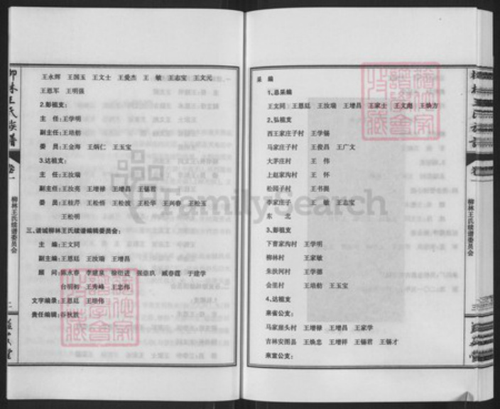 山东省潍坊市诸城市皇华镇王氏益友堂族谱-柳林王氏族谱.pdf电子版插图4