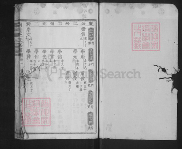 浙江省绍兴新昌县王氏环山堂族谱-南屏王氏宗谱.pdf电子版插图1