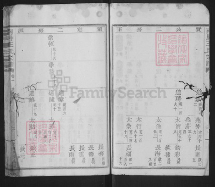 浙江省绍兴新昌县王氏环山堂族谱-南屏王氏宗谱.pdf电子版插图2