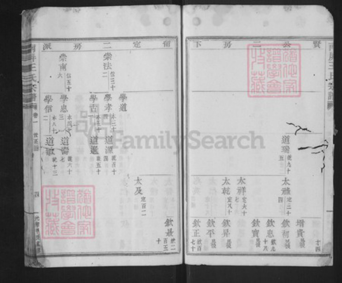 浙江省绍兴新昌县王氏环山堂族谱-南屏王氏宗谱.pdf电子版插图4