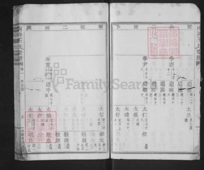 浙江省绍兴新昌县王氏环山堂族谱-南屏王氏宗谱.pdf电子版插图5