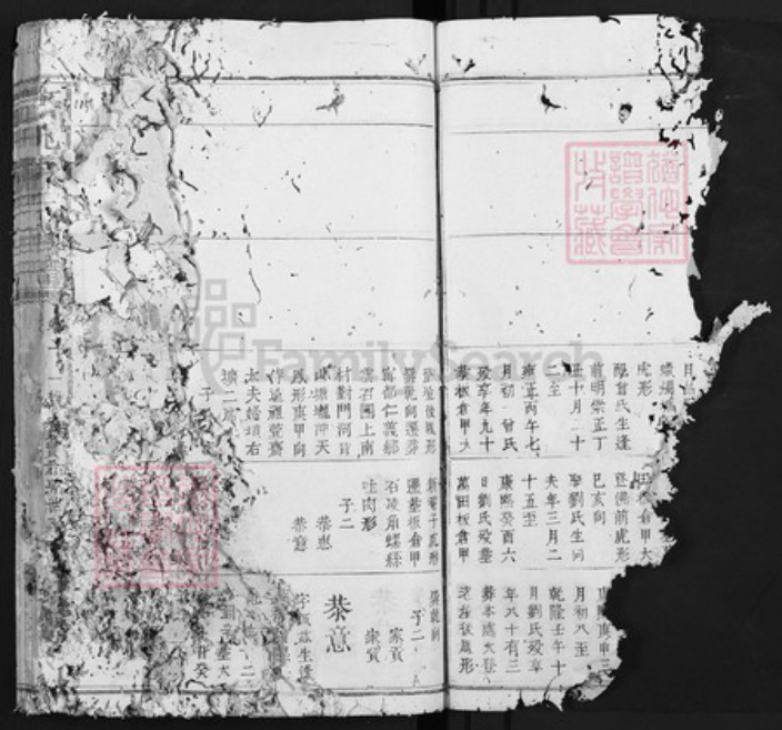 江西省赣州市宋氏族谱-京兆宋氏族谱.pdf电子版插图4