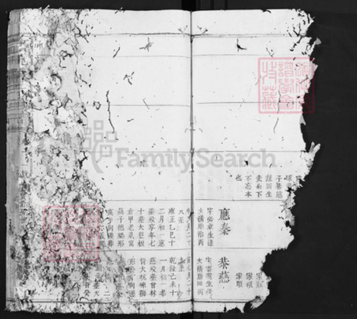 江西省赣州市宋氏族谱-京兆宋氏族谱.pdf电子版插图5