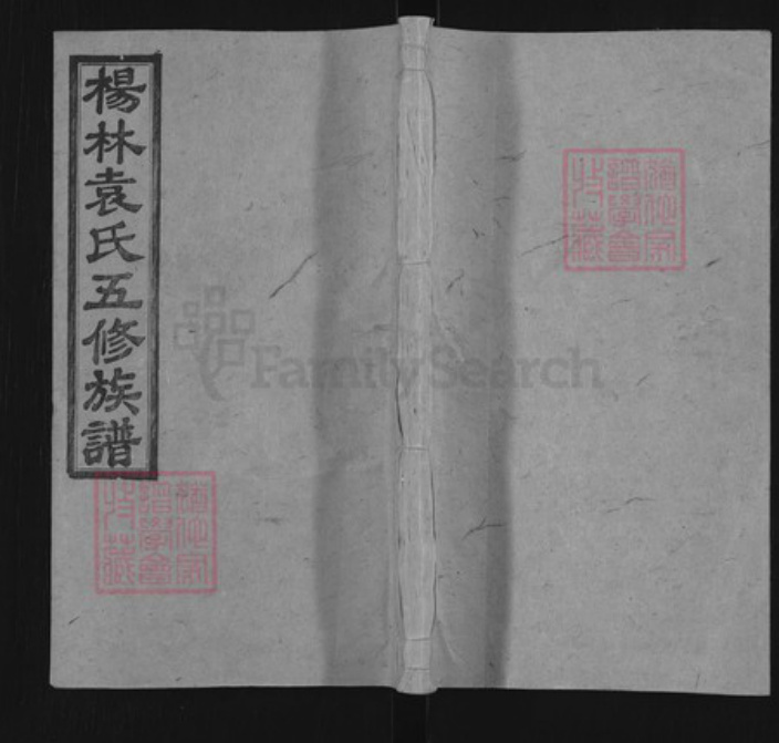 湖南省邵阳市邵东袁氏敦睦堂族谱-杨林袁氏五修族谱.pdf电子版插图