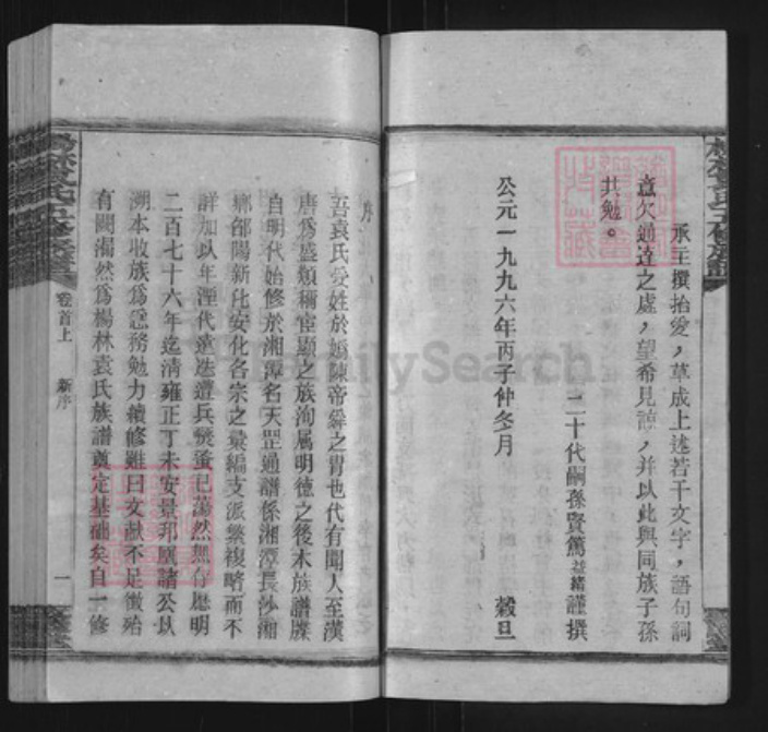 湖南省邵阳市邵东袁氏敦睦堂族谱-杨林袁氏五修族谱.pdf电子版插图4