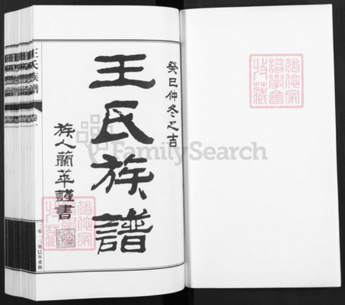河北省邢台宁晋县凤凰镇王氏族谱-王氏族谱.pdf电子版插图1