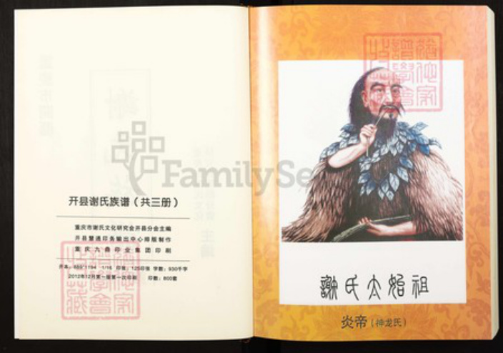 重庆市万州区四川省万州开县谢；谢氏宝树堂族谱-重庆市开县谢氏族谱.pdf电子版插图2