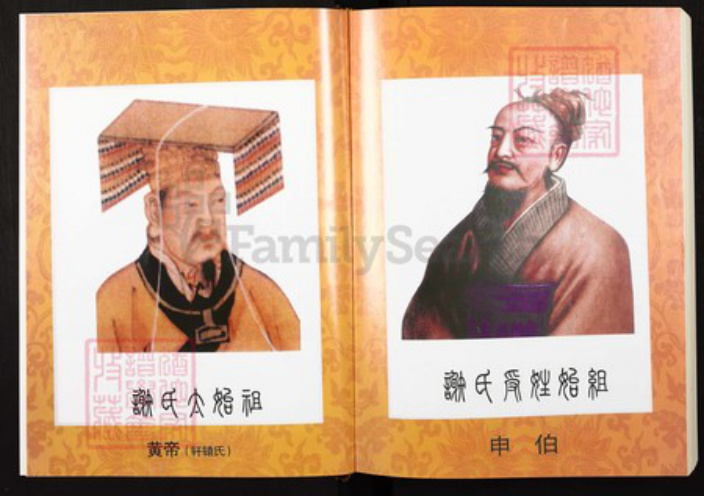 重庆市万州区四川省万州开县谢；谢氏宝树堂族谱-重庆市开县谢氏族谱.pdf电子版插图3