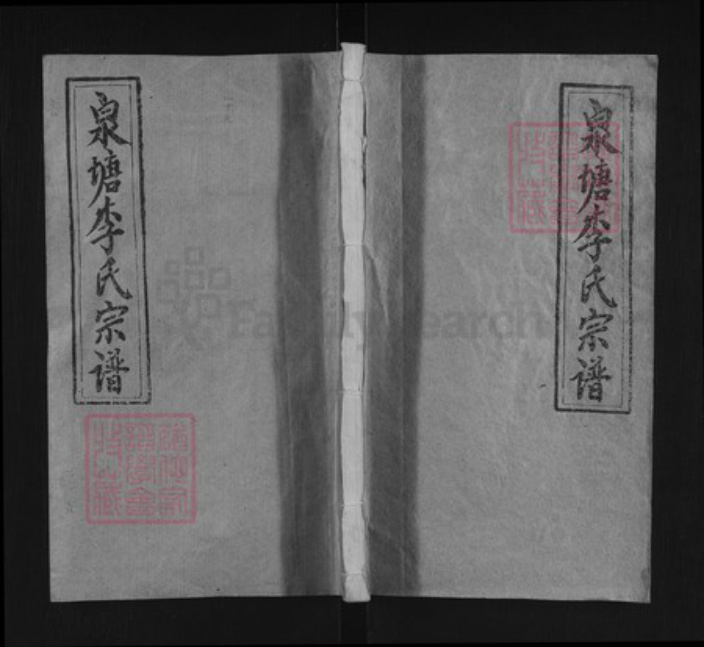 湖南省邵阳市邵东李氏培元堂族谱-邵陵泉塘李氏五修宗谱.pdf电子版