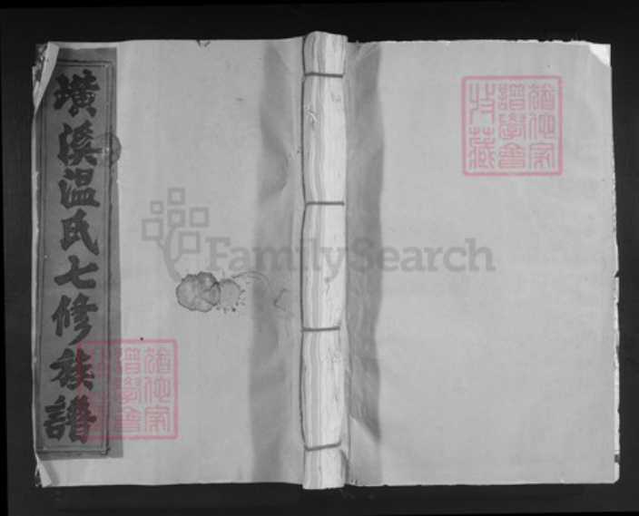 江西省赣州市宁都县田头镇温氏族谱-宁都璜溪温氏祠七修族谱.pdf电子版插图