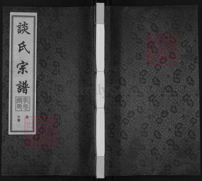 江苏省常州市武进县洛阳镇谈氏孝思堂族谱-谈氏宗谱.pdf电子版插图