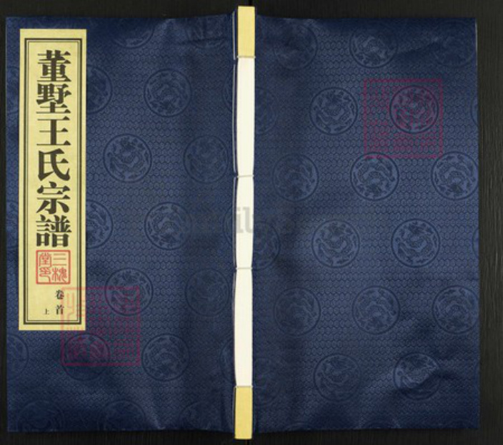 江苏省常州市天宁区郑陆镇王氏三槐堂族谱-董墅王氏宗谱.pdf电子版插图