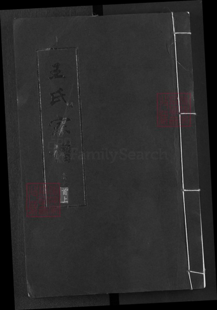 湖北省黄冈市王氏三槐堂族谱-王氏族谱.pdf电子版插图