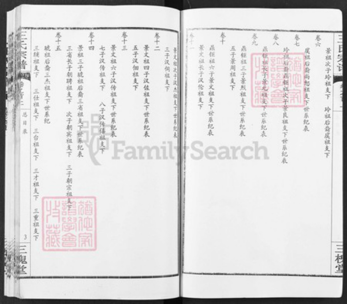 湖北省黄冈市王氏三槐堂族谱-王氏族谱.pdf电子版插图3
