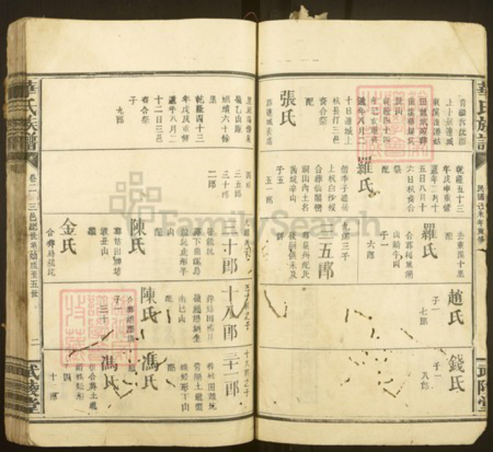 福建省龙岩市连城县姑田镇华氏武陵堂族谱-华氏族谱.pdf电子版插图2