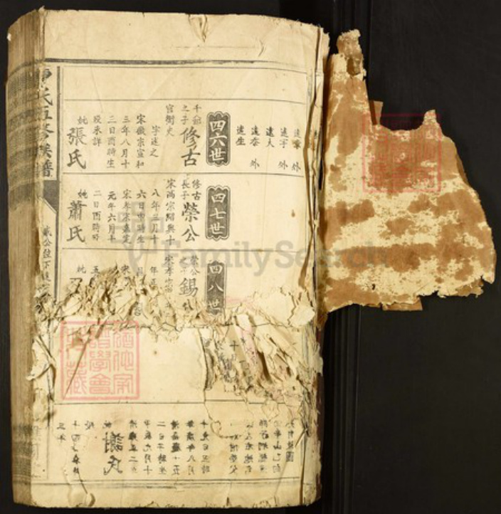 江西省赣州市兴国县江背镇曹氏谯国堂族谱-曹氏五修族谱.pdf电子版插图1