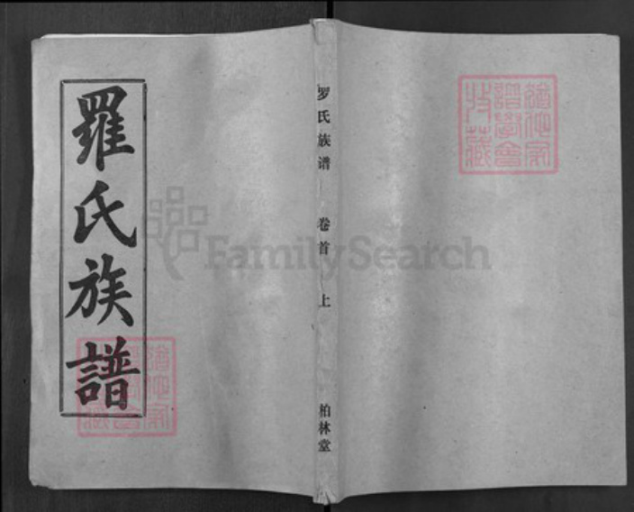 湖北省黄冈市麻城市罗氏柏林堂族谱-罗氏族谱.pdf电子版插图