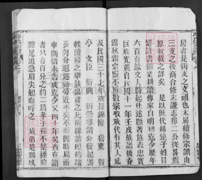 湖北省武汉市新洲区邱氏忠实堂族谱-邱氏宗谱.pdf电子版插图2