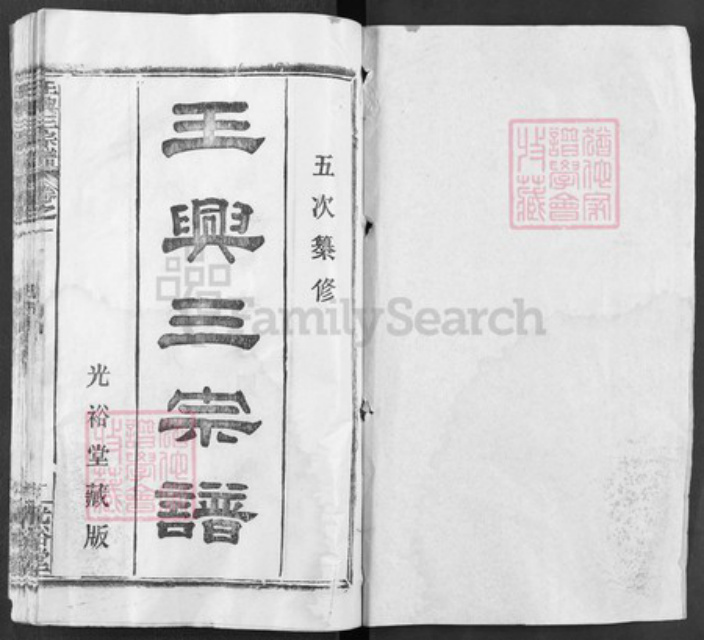 湖北省武汉市新洲区王氏光裕堂族谱-王兴三宗谱.pdf电子版插图1