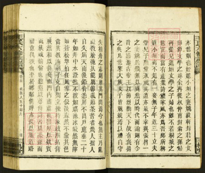 湖南省邵阳市新邵县酿溪镇王氏三槐堂族谱-邵阳王氏族谱.pdf电子版插图2