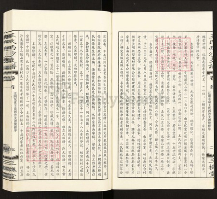 江苏省无锡市王氏三槐堂族谱-东常王氏西沙支谱.pdf电子版插图4