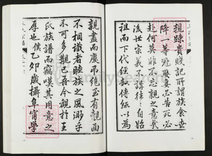 江苏省盐城市阜宁县金沙湖街道王氏族谱-王氏宗谱.pdf电子版插图3 江苏省盐城市阜宁县金沙湖街道王氏族谱-王氏宗谱.pdf电子版插图3