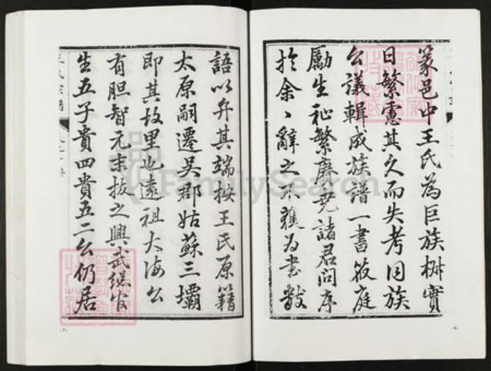 江苏省盐城市阜宁县金沙湖街道王氏族谱-王氏宗谱.pdf电子版插图4 江苏省盐城市阜宁县金沙湖街道王氏族谱-王氏宗谱.pdf电子版插图4