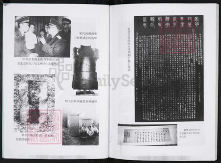 贵州省黔东南苗族侗族自治州凯里市杨氏族谱-杨再思氏族通志.pdf电子版插图3