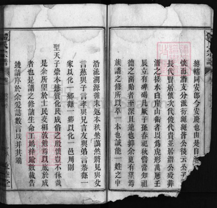 安徽省安庆市潜山市储氏族谱-储氏宗谱 [20卷].pdf电子版插图4