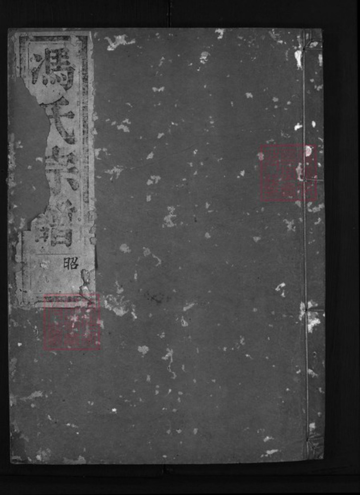 浙江省金华市冯氏族谱-佳泽冯氏宗谱 [4卷,首1卷].pdf电子版