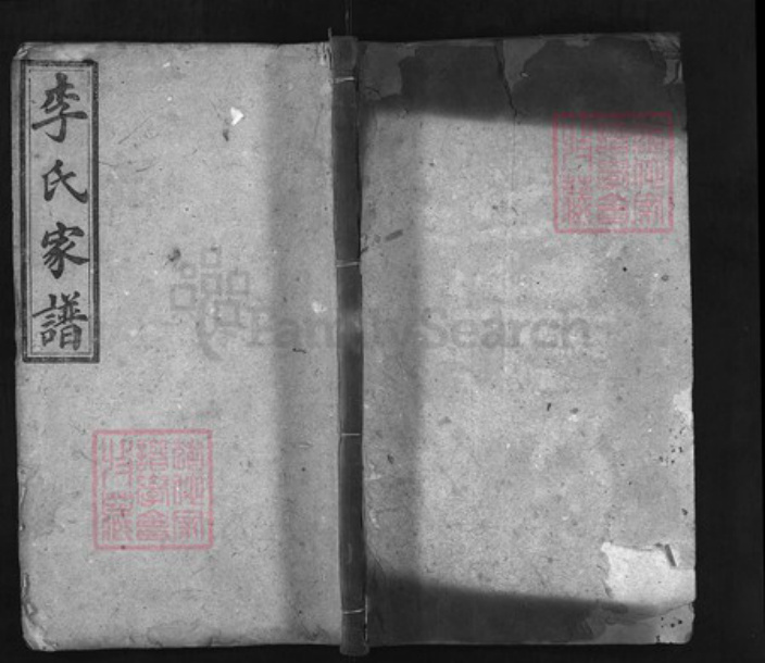 湖南省益阳市李氏族谱-李氏五修支谱 [10卷,首2卷].pdf电子版