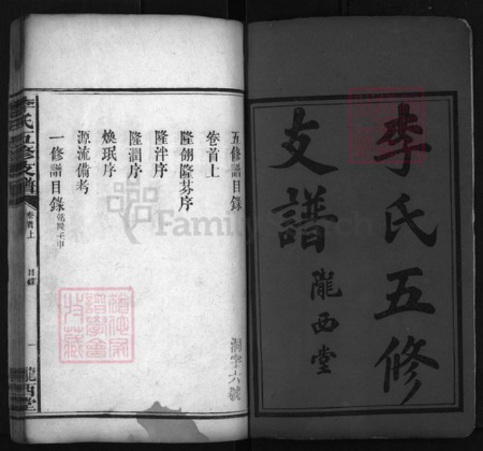 湖南省益阳市李氏族谱-李氏五修支谱 [10卷,首2卷].pdf电子版插图1