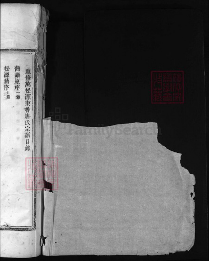 浙江省丽水市唐氏族谱-万松源唐氏宗谱 [5卷,首1卷].pdf电子版插图1