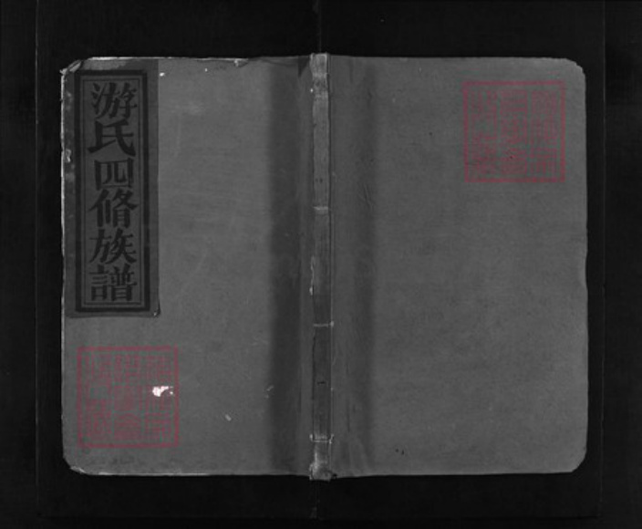 江西省抚州市乐安县游氏族谱-功溪游氏族谱 [不分卷].pdf电子版插图