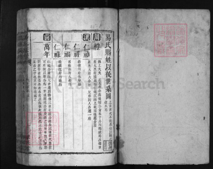 湖南省湘潭市湘乡市湘乡易氏族谱-易氏族谱 [残卷, 不分卷].pdf电子版插图1