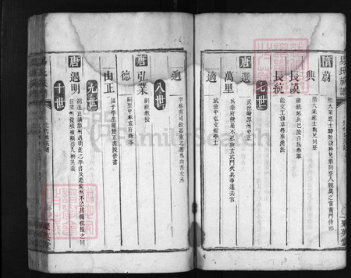 湖南省湘潭市湘乡市湘乡易氏族谱-易氏族谱 [残卷, 不分卷].pdf电子版插图3