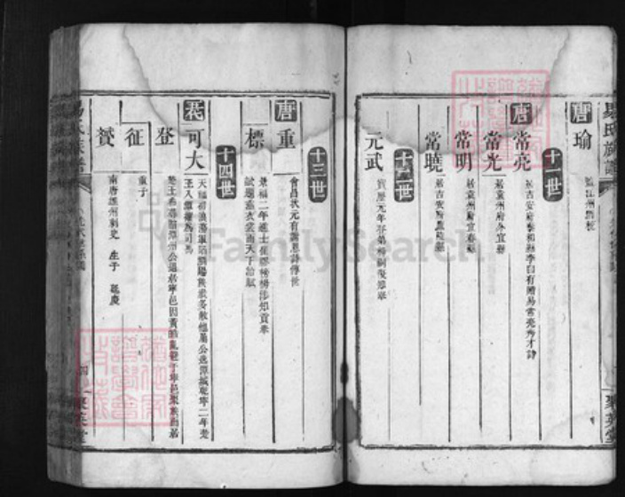 湖南省湘潭市湘乡市湘乡易氏族谱-易氏族谱 [残卷, 不分卷].pdf电子版插图4