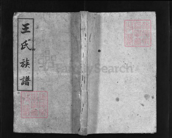 湖南省长沙市浏阳市浏阳王氏族谱-白水王氏族谱[20卷].pdf电子版插图