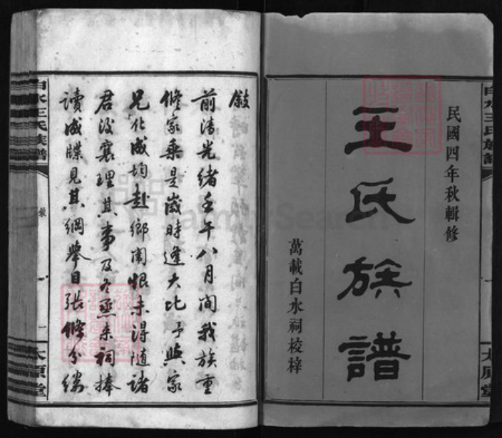 湖南省长沙市浏阳市浏阳王氏族谱-白水王氏族谱[20卷].pdf电子版插图1
