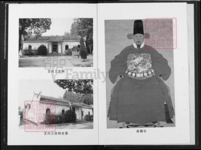 湖北省武汉市新洲区王氏光裕堂族谱-王兴三宗谱.pdf电子版插图2