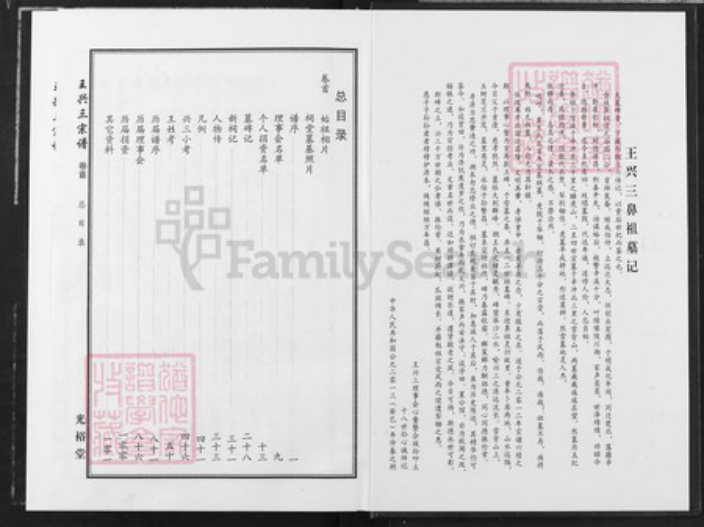 湖北省武汉市新洲区王氏光裕堂族谱-王兴三宗谱.pdf电子版插图4